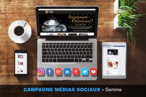 Campagne, médias sociaux, facebook, gemme, webmkg, publicité, promotion, vidéo, efficace